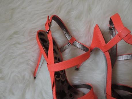 L'ami Sam DSCN0209.JPG