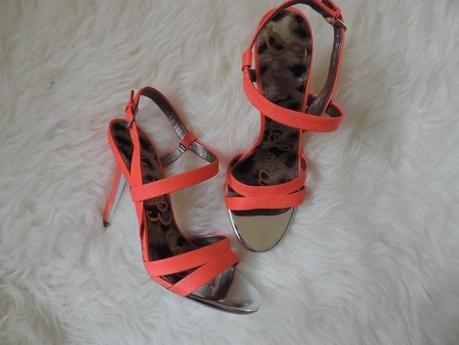 L'ami Sam DSCN0206.JPG