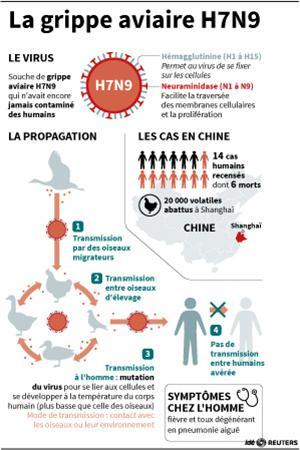 La grippe aviaire a fait son retour. La grippe aviaire a fait son retour.