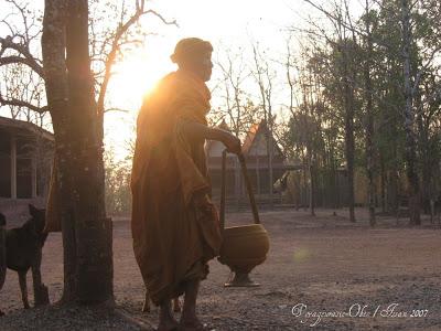 Les bonzes occidentaux en Thaïlande Les bonzes occidentaux en Thaïlande