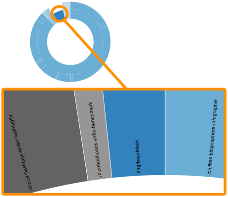 Graphique Social Crawlytics, Sunburst Tree Map Social Crawlytics, mesure des partages sociaux : simple & efficace