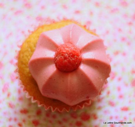 IMG_6534 Les cupcakes, par un géant du fast food