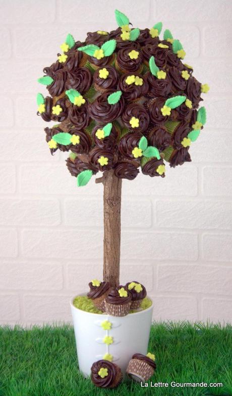 IMG_5969.CR2 Les cupcakes, par un géant du fast food