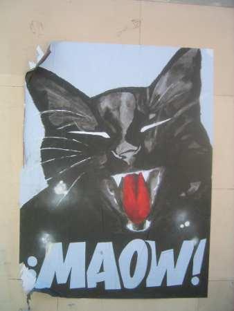 chatmaow.jpg, avr. 2013 chatmaow.jpg