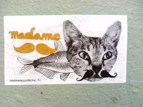 chatmadame.jpg, avr. 2013 chatmadame.jpg