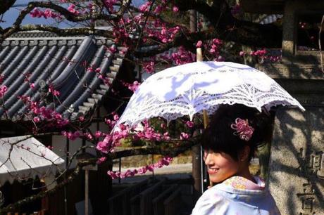 Hanami « Aller voir les fleurs » 524438_3241288685360_592233899_n