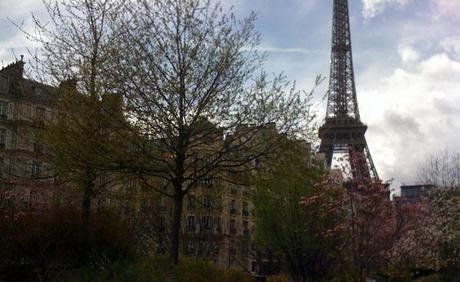 On nous prend vraiment pour des ….branques ! Paris en fleurs