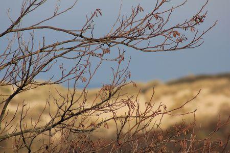 Photo du dimanche : nature IMG_0225