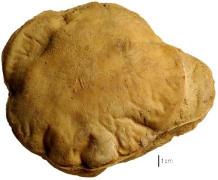 Que mangeaient-ils ? Que buvaient-ils ? Quelle fut leur cuisine, leur gastronomie ? (1) En Égypte ancienne ! Pain shamsi (Khobz Shamsi)