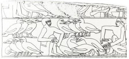 Que mangeaient-ils ? Que buvaient-ils ? Quelle fut leur cuisine, leur gastronomie ? (1) En Égypte ancienne ! Egyptiangeesefeeding