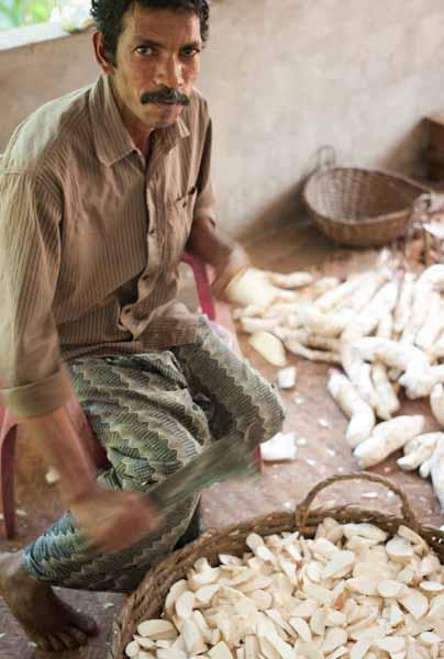 Les étapes de préparation du manioc Beendhi_BP_Manioc_Man Peeling Tapioca_100130-1010058