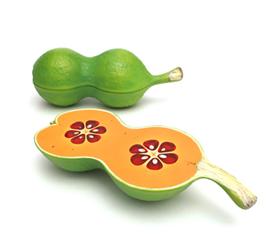 Le fruit du futur, imaginé par un designer* culinaire ! OJM-1