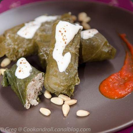 FeuillesDeVigne (17) FeuillesDeVigne (17)