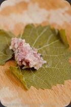 FeuillesDeVigne (6) FeuillesDeVigne (6)