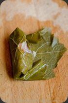 FeuillesDeVigne (8) FeuillesDeVigne (8)