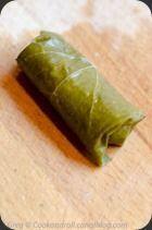 FeuillesDeVigne (9) FeuillesDeVigne (9)