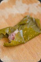 FeuillesDeVigne (7) FeuillesDeVigne (7)