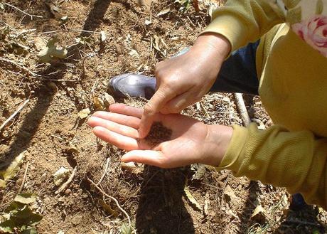 Les aliments diététiques de la montagne Les aliments diététiques de la montagne