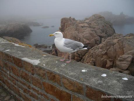 L'ÎLE DE BRÉHAT(22)-Le Phare du Paon