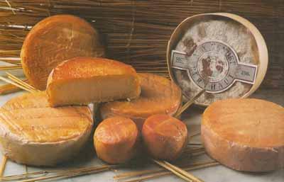 Epoisses, fromage bourguignon
