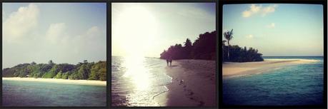 INSTA LIFE # 1 INSTA LIFE # 1