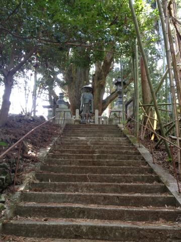 Trail World Tour, chemin des 88 temples Shikoku, 2e etape, dans les
montagnes de Shikoku.