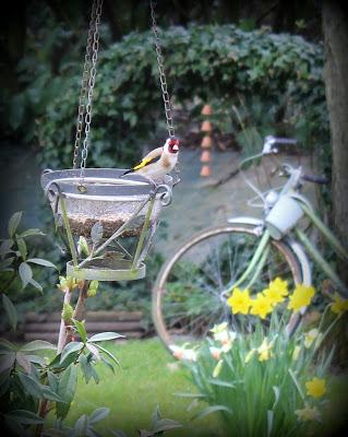 Petite pause ... Petite pause ...