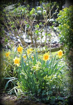 Petite pause ... Petite pause ...