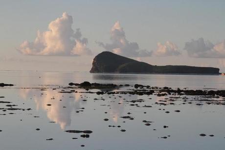 Petits Gâteaux au Chocolat & Café Petits Gâteaux au Chocolat & Café