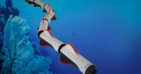 Un robot serpent pour nettoyer les océans 