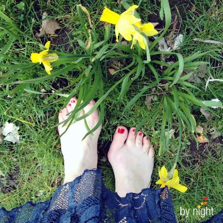 Semaine 16 Semaine 16