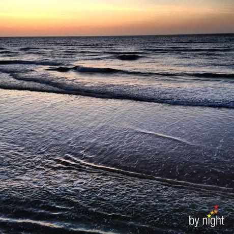 Semaine 16 Semaine 16