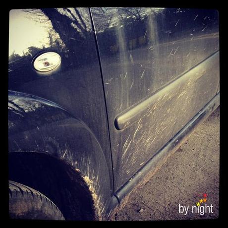 Semaine 16 Semaine 16