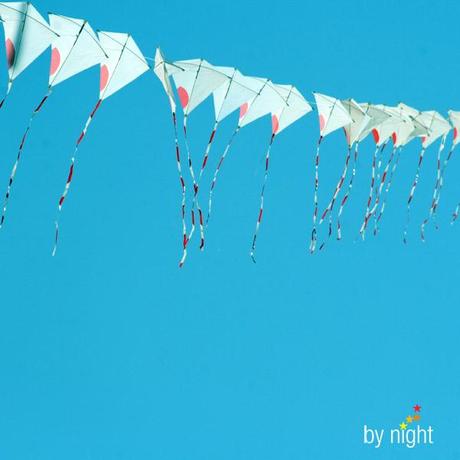 Semaine 16 Semaine 16