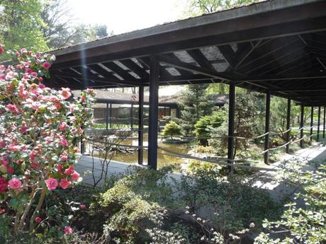 Au parc floral P1130404