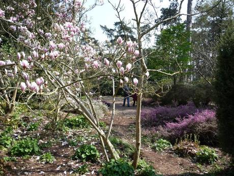 Au parc floral P1130414