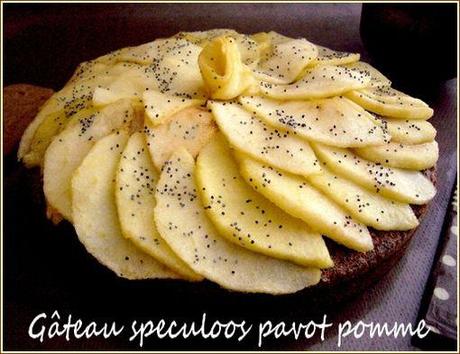 Gâteau speculoos pavot et pomme gateau speculoos pomme 1