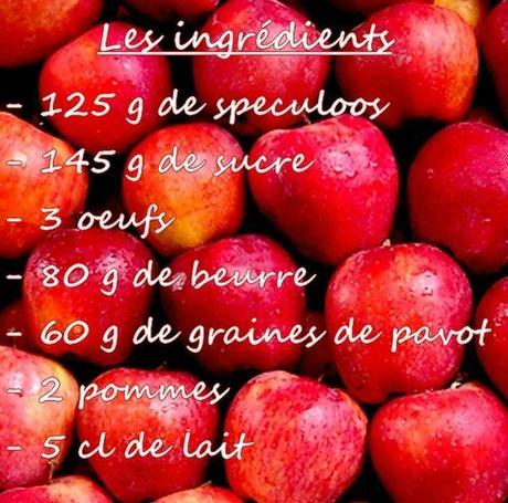 Gâteau speculoos pavot et pomme les ingrédients sur fond pomme