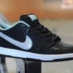 Nike SB Dunk Low Firecracker SPoT x Nike SB Dunk Low