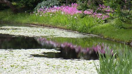 A travers la vitre ... DSCN3622