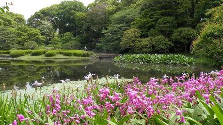 A travers la vitre ... DSCN3629