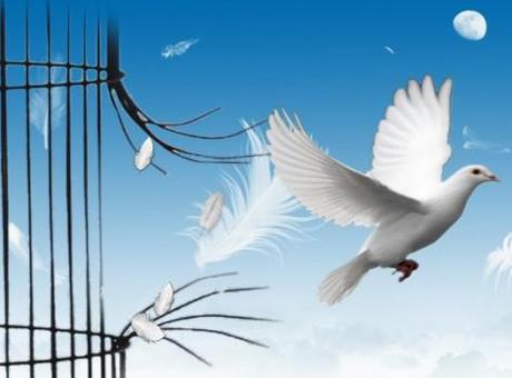 liberté Libre, oui ! Faire ce que je veux, non !