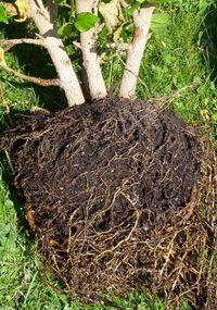 Rempotage_05 Rempotage_05