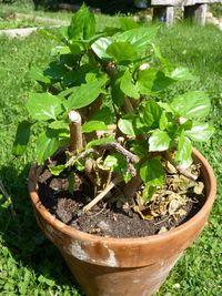 Rempotage_02 Rempotage_02