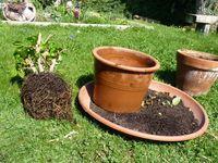 Rempotage_03 Rempotage_03