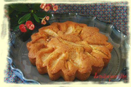 Mes recettes vos réalisations 101 gâteau aux pommes à l'ancienne ma cuisine jaune