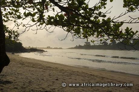 Ariadne van Zandbergen ou les yeux grands ouverts sur le monde Ariadne van Zandbergen ou les yeux grands ouverts sur le monde