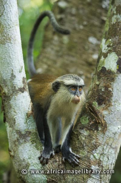 Ariadne van Zandbergen ou les yeux grands ouverts sur le monde Ariadne van Zandbergen ou les yeux grands ouverts sur le monde