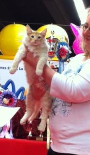 Visite au Salon Chiens Chats ... Visite au Salon Chiens Chats ...