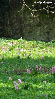 Fête des plantes vivaces à Saint-Jean-de-Beauregard